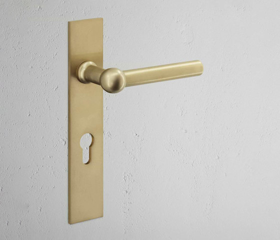 Harper Long Plate Sprung Door Handle & Euro Lock | Lever handles | Corston Architectural Detail