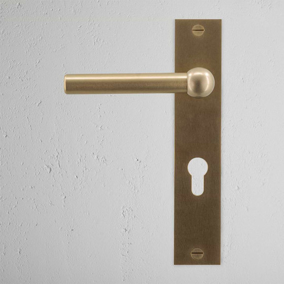 Harper Long Plate Sprung Door Handle & Euro Lock | Lever handles | Corston Architectural Detail