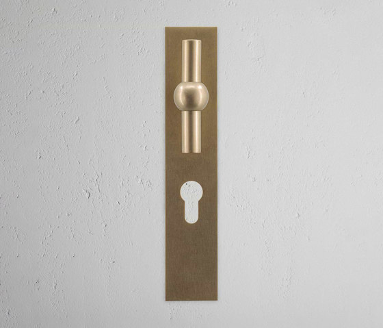 Manilla para puertas Harper T con placa larga (con muelle) y cerradura europea | Pomos | Corston Architectural Detail