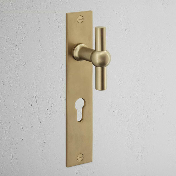 Harper T-Bar Long Plate Sprung Door Handle & Euro Lock | Knob handles | Corston Architectural Detail