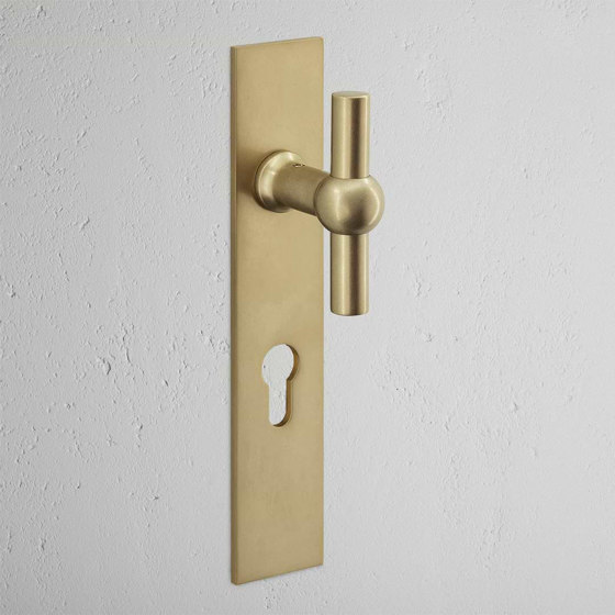 Harper T-Bar Long Plate Sprung Door Handle & Euro Lock | Knob handles | Corston Architectural Detail