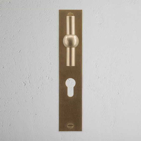 Harper Maniglia per porta barra a T con molla e serratura euro su placca lunga | Pomoli porta | Corston Architectural Detail