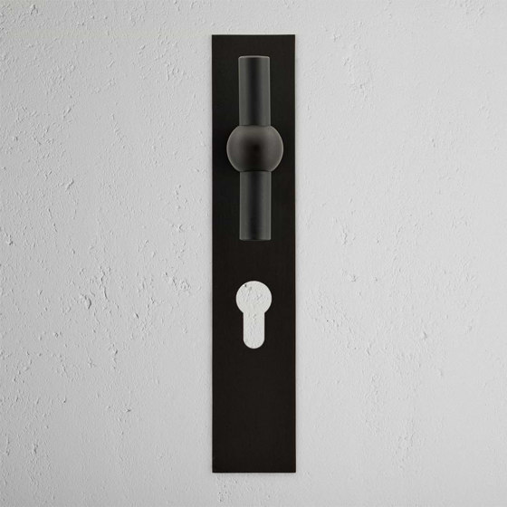 Manilla para puertas Harper T con placa larga (con muelle) y cerradura europea | Pomos | Corston Architectural Detail