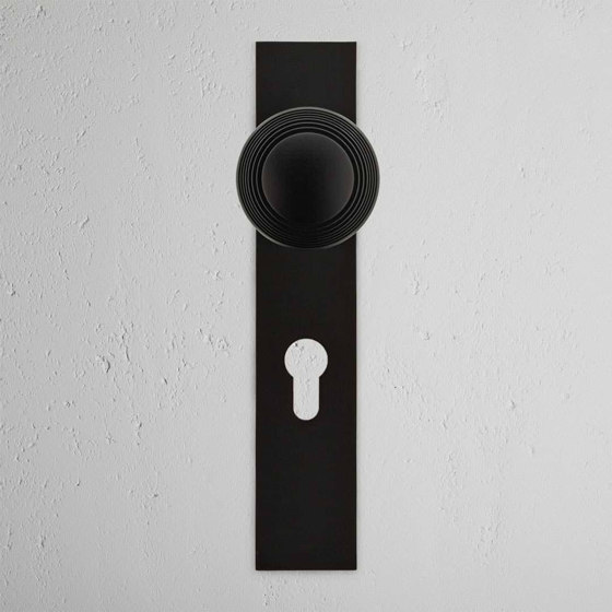 Poplar Long Plate Sprung Door Knob & Euro Lock | Knob handles | Corston Architectural Detail