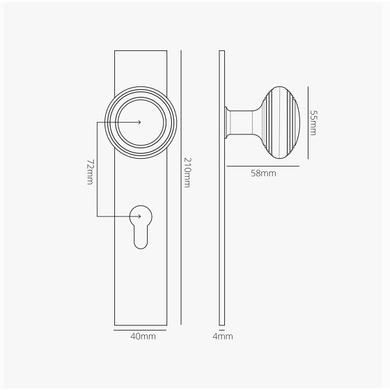 Pomo para puertas Poplar con placa larga (con muelle) y cerradura europea | Pomos | Corston Architectural Detail