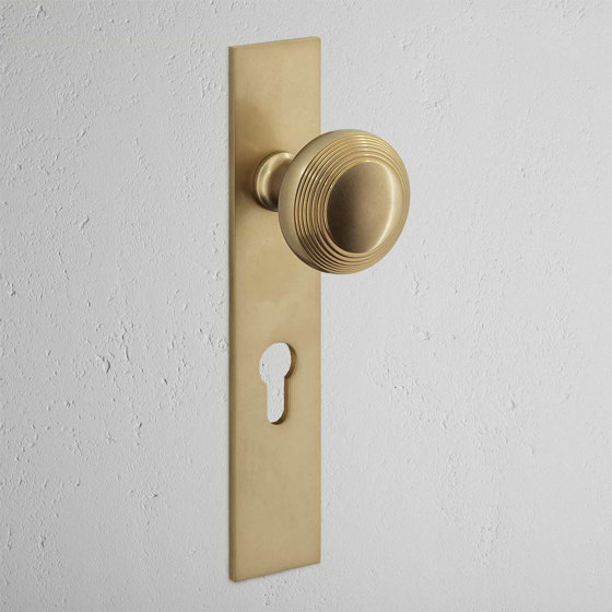 Poplar Long Plate Sprung Door Knob & Euro Lock | Knob handles | Corston Architectural Detail