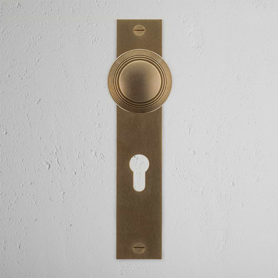 Poplar Long Plate Sprung Door Knob & Euro Lock | Knob handles | Corston Architectural Detail