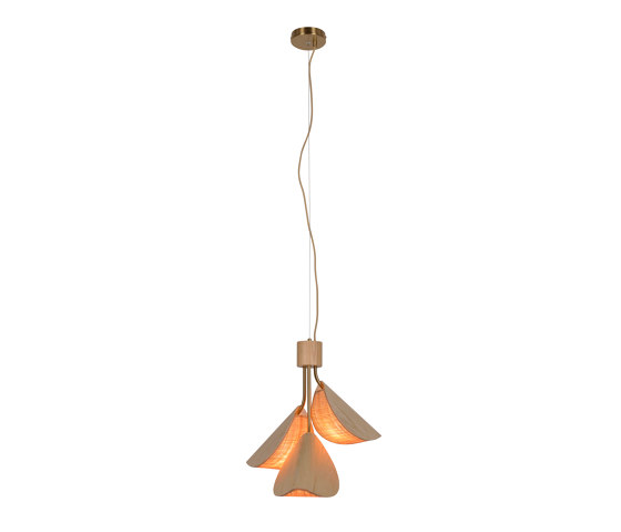 Lys | Pendant lamp | S wood | Lampade sospensione | Forestier