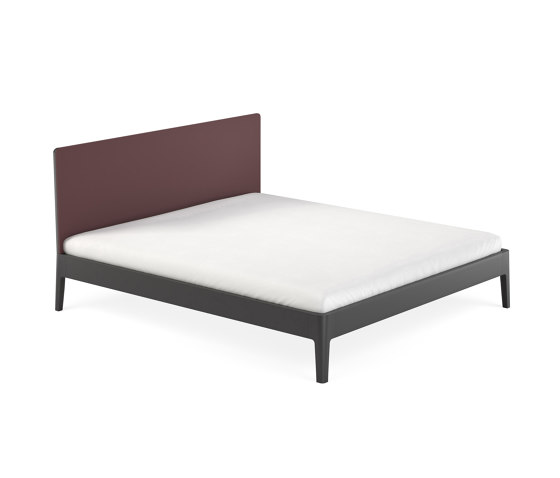 Lino Bed - Solid | Lits | Noah Living