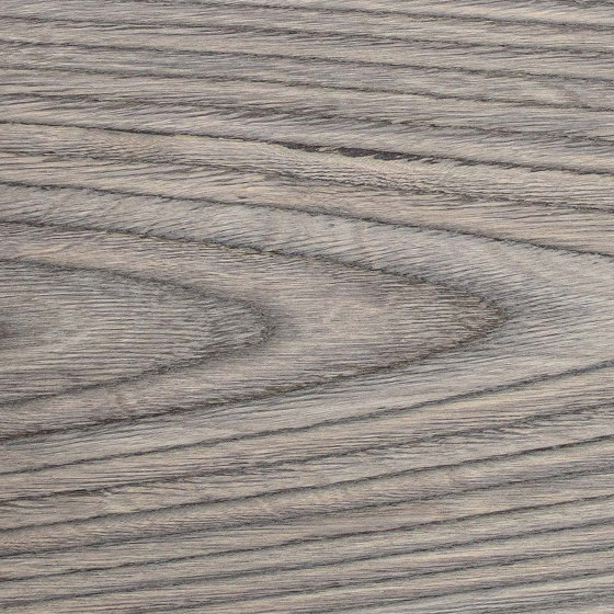 Reconstituted veneer CSG | Wand Furniere | CWP Coloured Wood Products