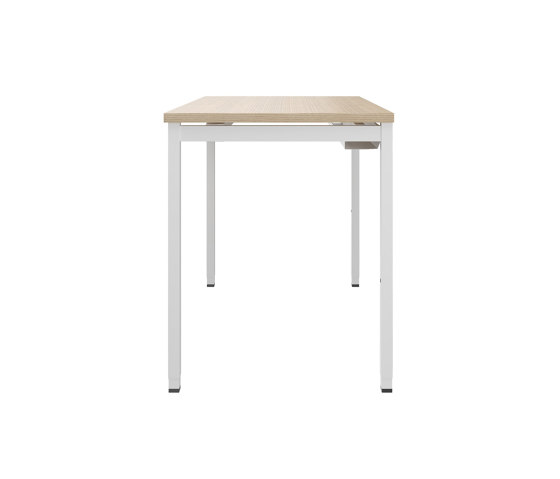 Pure Work Table with 4 - Legged Base - Melamine Oak Vicenza | Tables collectivités | Neudoerfler