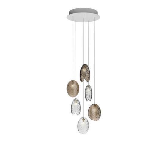 MUSSELS chandelier of 6 pcs | Lámparas de suspensión | Bomma