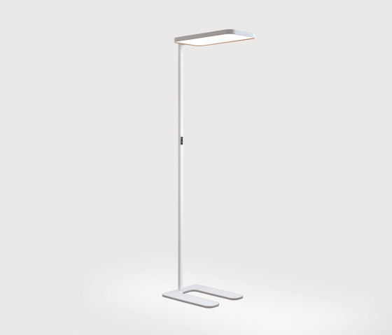 Caleo Neo S2 | Floor | Free-standing lights | Lightnet
