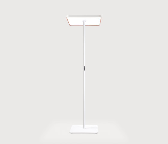 Caleo Neo S4 | Floor | Lampade piantana | Lightnet