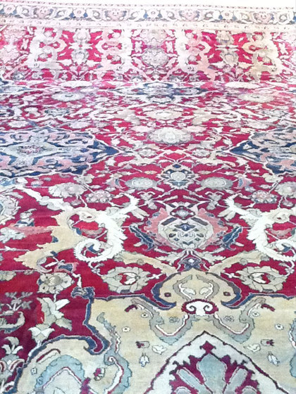 Agra | Tapis / Tapis de designers | D.S.V. CARPETS