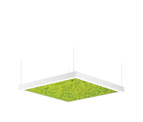 Acousto Square | Lampade sospensione | Intra lighting