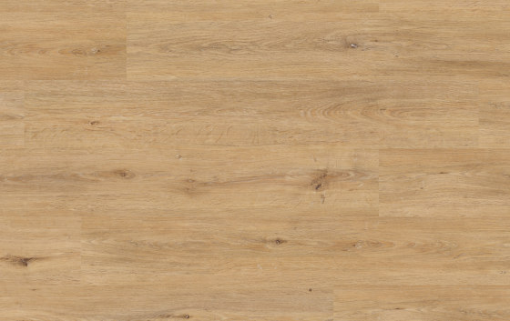 Floors@Work | 55 PW 3350 | Planchas de plástico | Project Floors