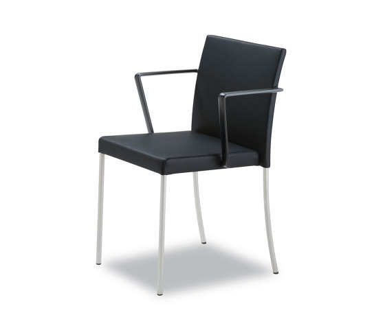 Jason Lite Chair | Sillas | Walter Knoll