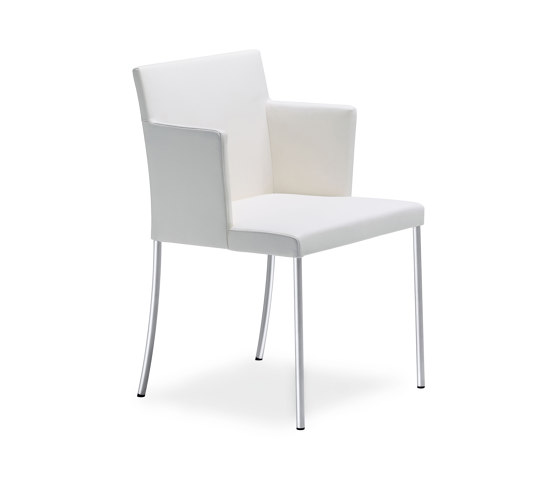 Jason Lite Chair | Sedie | Walter Knoll