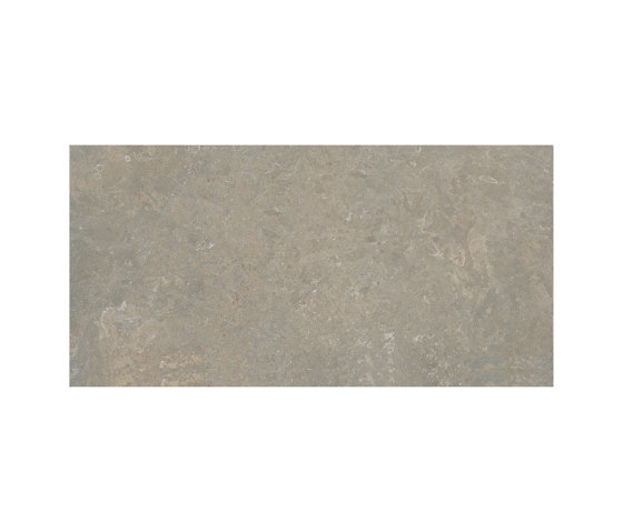 Arkystile | Fossil 60x120 | Carrelage céramique | Marca Corona