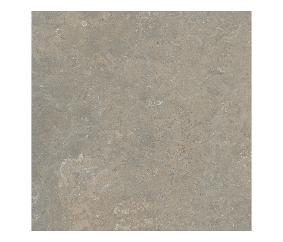 Arkystile | Fossil 60x60 | Ceramic tiles | Marca Corona