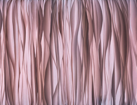 Chiffon Rosa | Wandbilder / Kunst | TECNOGRAFICA