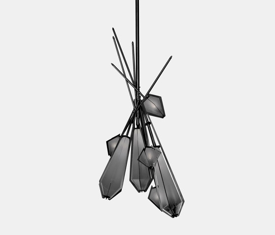 Harlow Dried Flowers Chandelier | Lampade sospensione | Gabriel Scott