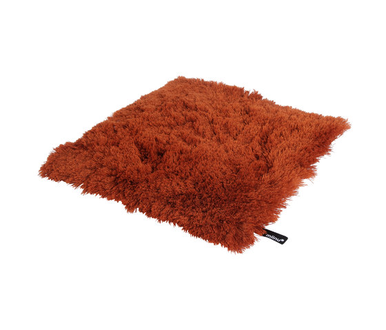 Code145 orange tiger | Rugs | Miinu