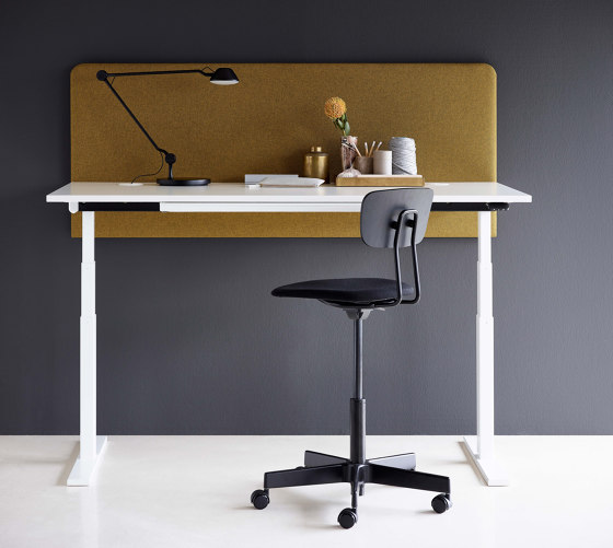Ray@Work | Upholstered Ergonomic Light-task Chair with Flexible Seat and wooden back | Sillas | GreyFox
