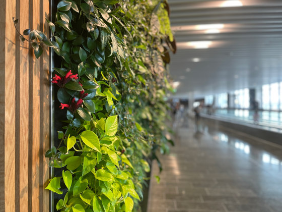 Indoor Vertical Garden | Arlanda Airport | Murs végétaux | Greenworks