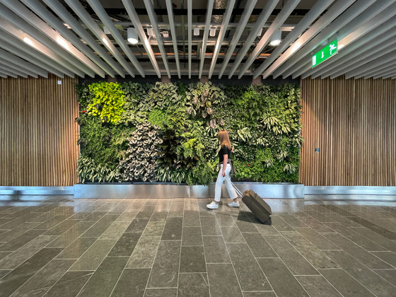 Indoor Vertical Garden | Arlanda Airport | Pflanzenwände | Greenworks