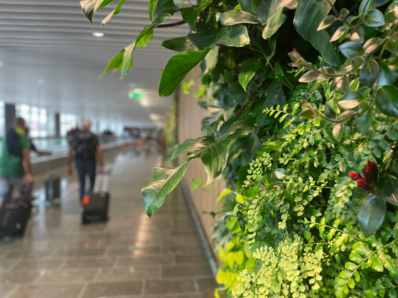 Indoor Vertical Garden | Arlanda Airport | Murs végétaux | Greenworks