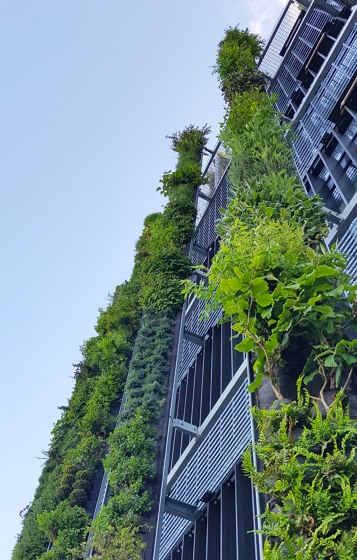 Outdoor Vertical Garden | Eden Hyillie | Facciate verdi | Greenworks