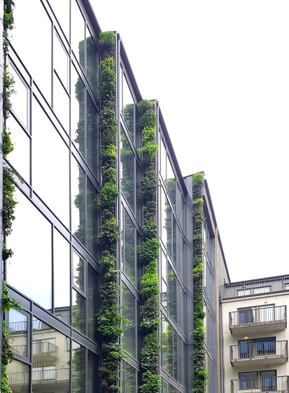Outdoor Vertical Garden | Eden Hyillie | Green facades | Greenworks