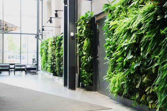 Indoor Vertical Garden | Ringvägen 100 | Murs végétaux | Greenworks