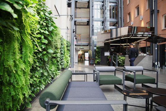 Indoor Vertical Garden | Ringvägen 100 | Murs végétaux | Greenworks