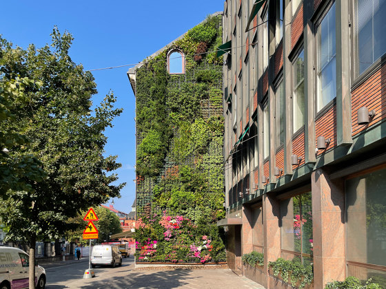 Outdoor Vertical Garden | Storgatan 1 | Fassadenbegrünung | Greenworks
