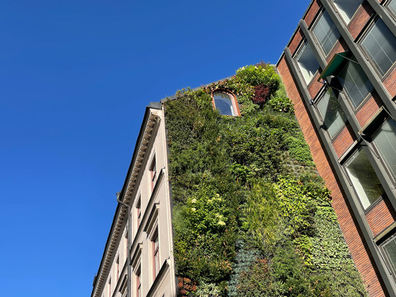 Outdoor Vertical Garden | Storgatan 1 | Fassadenbegrünung | Greenworks
