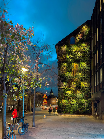 Outdoor Vertical Garden | Storgatan 1 | Green facades | Greenworks