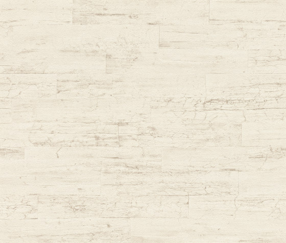 Curiosity 537000 | Wall coverings / wallpapers | Rasch Contract