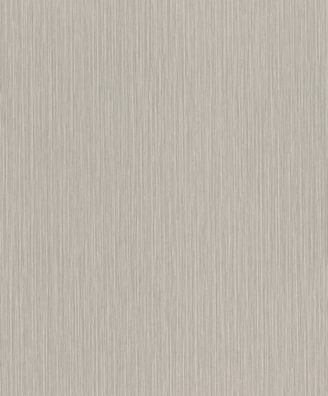 Curiosity 537680 | Wall coverings / wallpapers | Rasch Contract