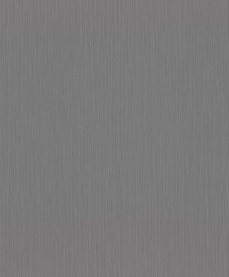 Curiosity 537697 | Wall coverings / wallpapers | Rasch Contract