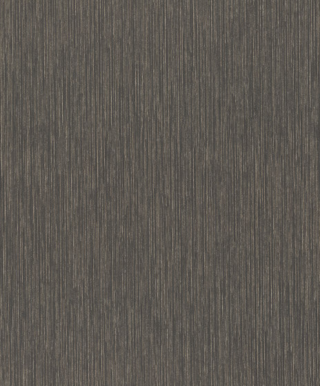 Curiosity 537741 | Wall coverings / wallpapers | Rasch Contract
