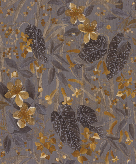 Curiosity 538229 | Wall coverings / wallpapers | Rasch Contract
