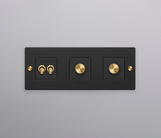 Toggle Switches | EU Retractive Module | 2 way | Rotary dimmers | Buster + Punch