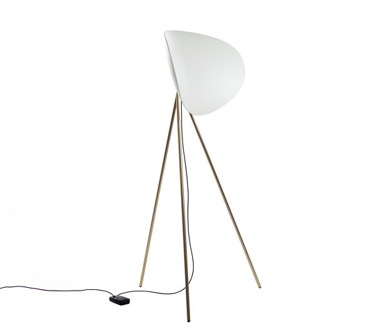 Infinity Brushed Gold&Walnut | Free-standing lights | Hind Rabii