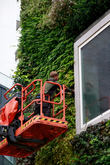 Outdoor Vertical Garden | Mobilia | Fassadenbegrünung | Greenworks