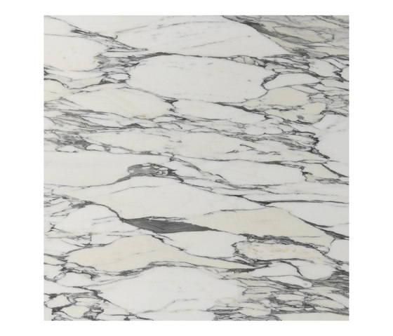 White natural stones | Arabescato Corchia | Naturstein Fliesen | Margraf