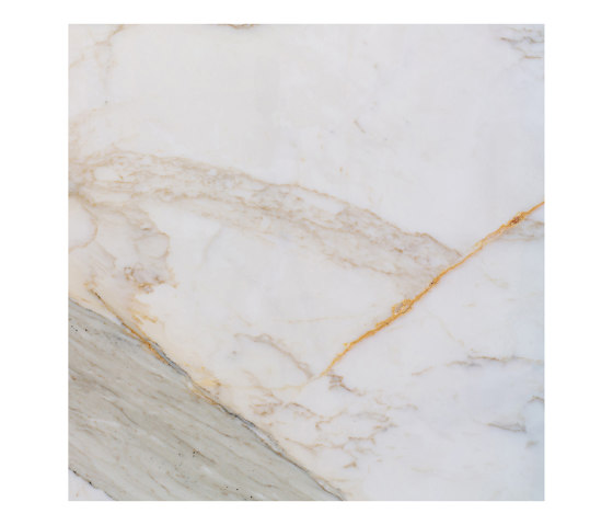 White natural stones | Calacatta Macchia Vecchia | Natural stone tiles | Margraf