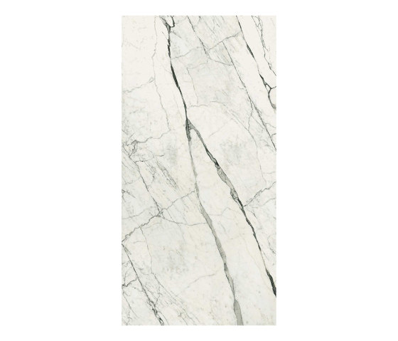 Marble Eternal White B | Lastre ceramica | FLORIM